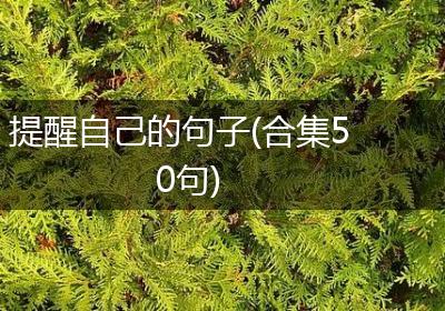 提醒自己的句子(合集50句)