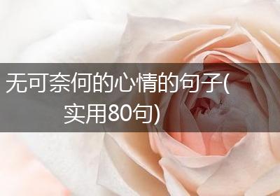 无可奈何的心情的句子(实用80句)