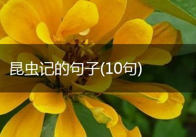 昆虫记的句子(10句)