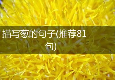 描写葱的句子(推荐81句)