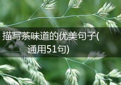 描写茶味道的优美句子(通用51句)
