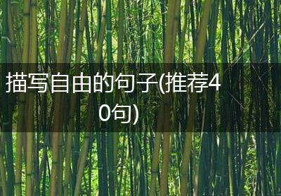 描写自由的句子(推荐40句)