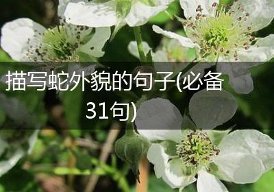 描写蛇外貌的句子(必备31句)