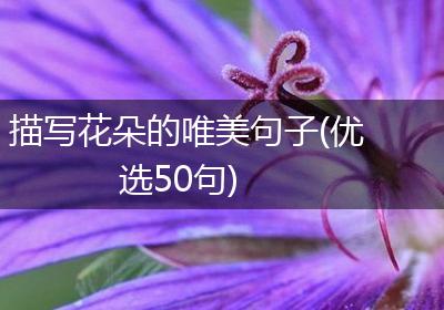 描写花朵的唯美句子(优选50句)