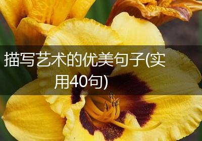 描写艺术的优美句子(实用40句)