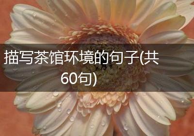 描写茶馆环境的句子(共60句)