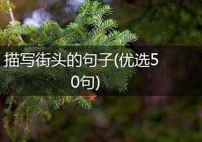 描写街头的句子(优选50句)