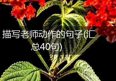 描写老师动作的句子(汇总40句)