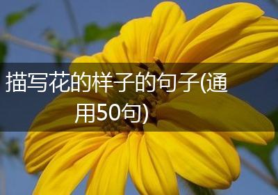 描写花的样子的句子(通用50句)