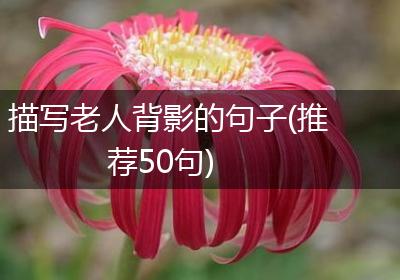 描写老人背影的句子(推荐50句)