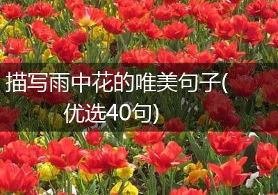 描写雨中花的唯美句子(优选40句)