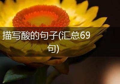 描写酸的句子(汇总69句)