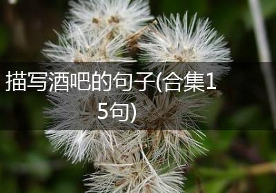 描写酒吧的句子(合集15句)