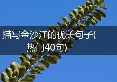 描写金沙江的优美句子(热门40句)