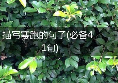 描写赛跑的句子(必备41句)