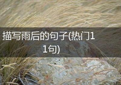 描写雨后的句子(热门11句)