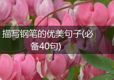 描写钢笔的优美句子(必备40句)