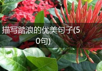 描写踏浪的优美句子(50句)