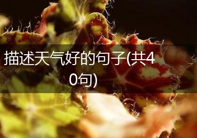 描述天气好的句子(共40句)