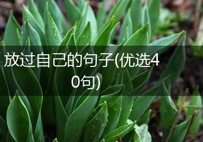 放过自己的句子(优选40句)