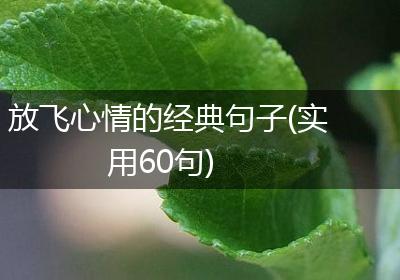 放飞心情的经典句子(实用60句)