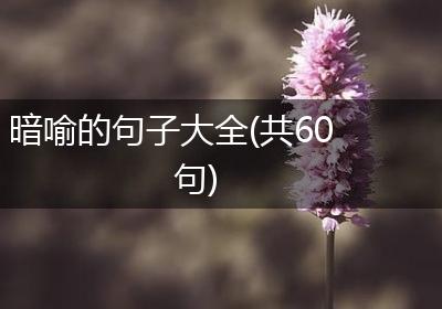 暗喻的句子大全(共60句)