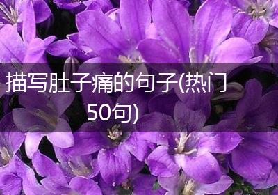描写肚子痛的句子(热门50句)