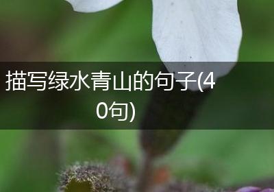 描写绿水青山的句子(40句)