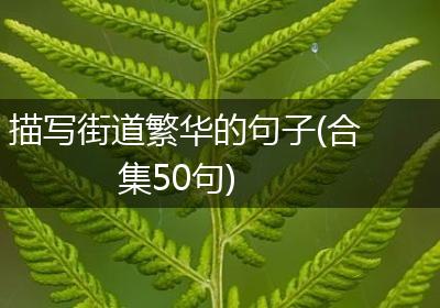 描写街道繁华的句子(合集50句)