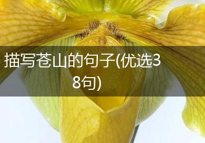 描写苍山的句子(优选38句)