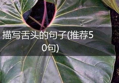 描写舌头的句子(推荐50句)