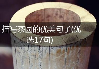 描写茶园的优美句子(优选17句)