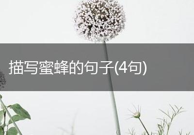 描写蜜蜂的句子(4句)
