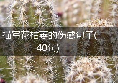 描写花枯萎的伤感句子(40句)