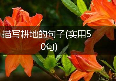 描写耕地的句子(实用50句)