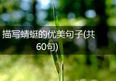 描写蜻蜓的优美句子(共60句)
