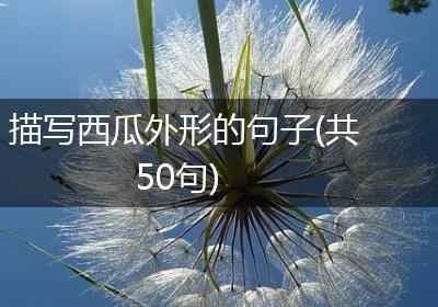 描写西瓜外形的句子(共50句)