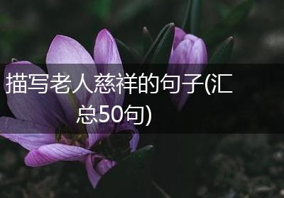 描写老人慈祥的句子(汇总50句)