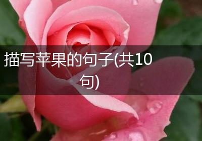 描写苹果的句子(共10句)