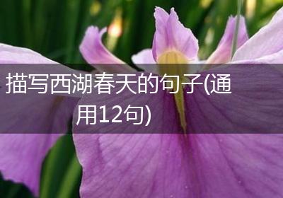 描写西湖春天的句子(通用12句)