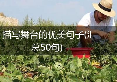 描写舞台的优美句子(汇总50句)