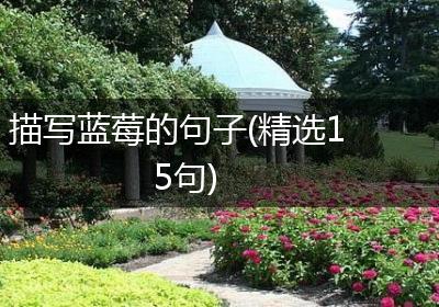 描写蓝莓的句子(精选15句)