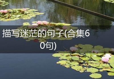 描写迷茫的句子(合集60句)