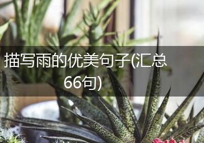 描写雨的优美句子(汇总66句)