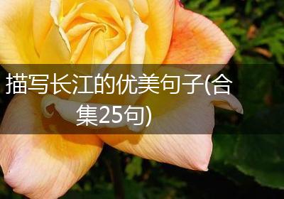 描写长江的优美句子(合集25句)