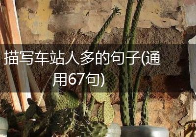 描写车站人多的句子(通用67句)