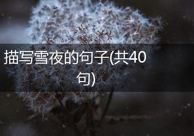 描写雪夜的句子(共40句)