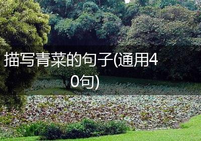 描写青菜的句子(通用40句)