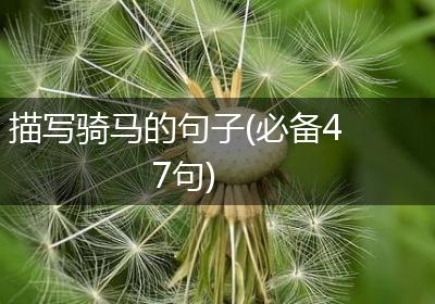 描写骑马的句子(必备47句)