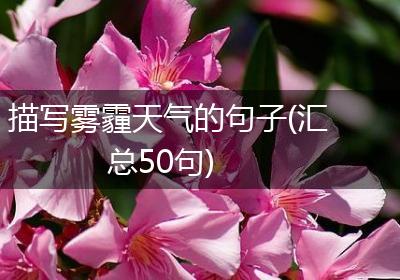 描写雾霾天气的句子(汇总50句)